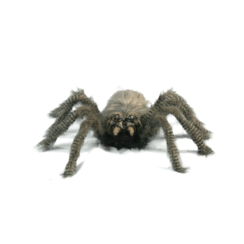 Spider Brown Animated 60cm Ea LIMITED STOCK