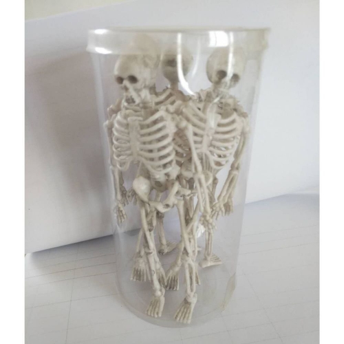 Skeleton 15cm Pk 5