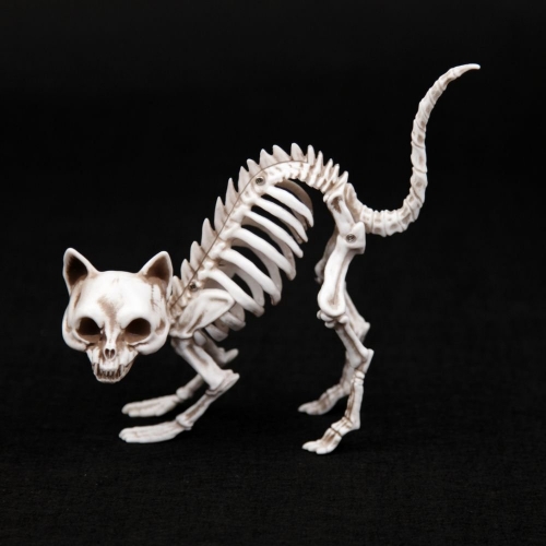 Skeleton Cat Standing 19cm Ea