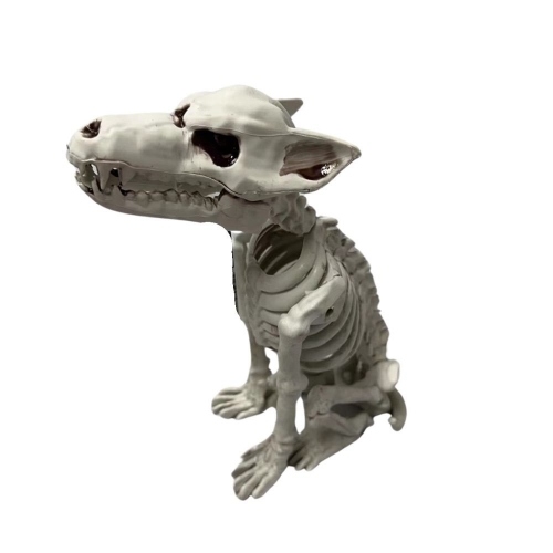 Skeleton Wolf 24cm Ea