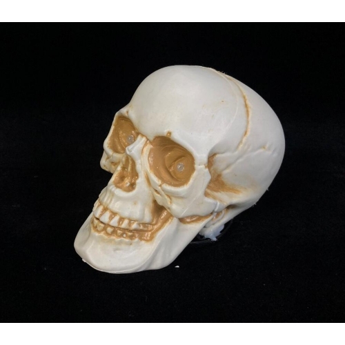 Skull Animated with Light & Sound 20cm Ea LIMITED STOCK