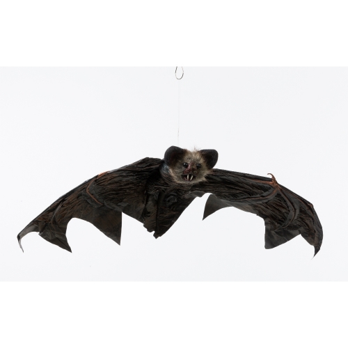 Bat Hanging 79cm Ea