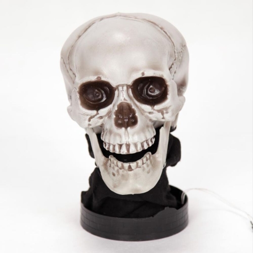 Skull Coby Talking 25cm Ea